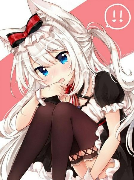 neko