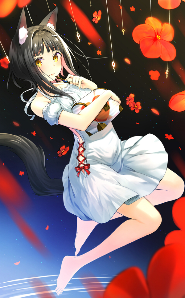 ash99