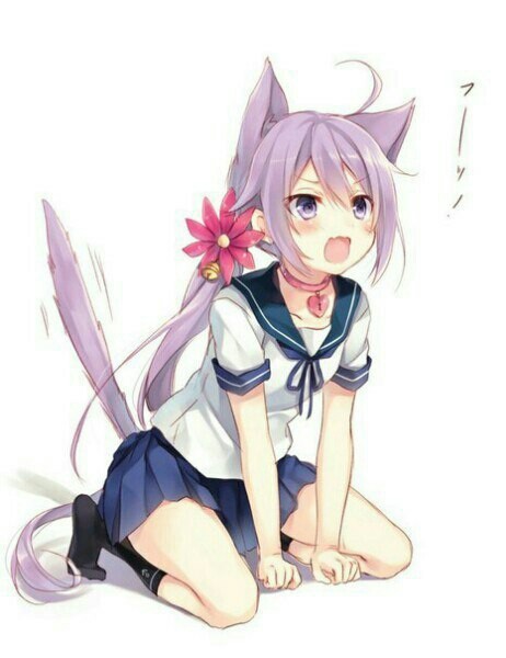 neko