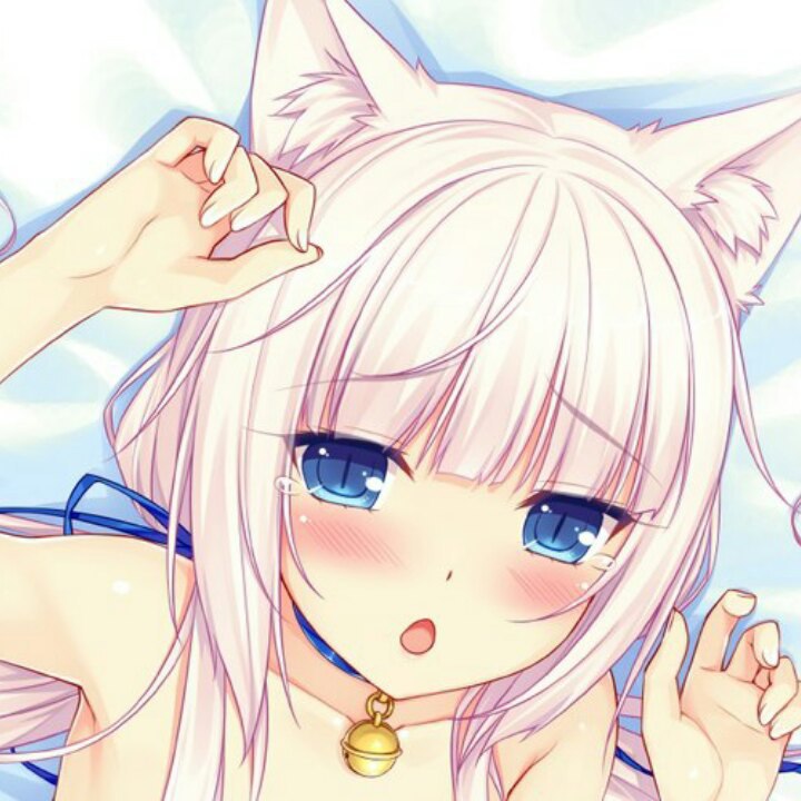 neko