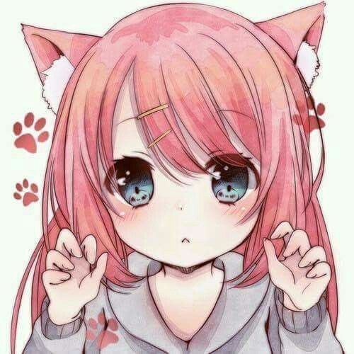 neko