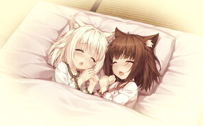 neko