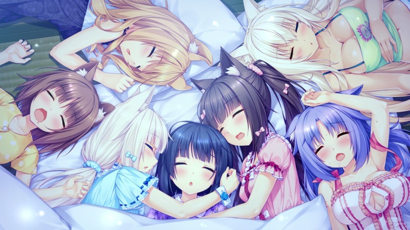 neko