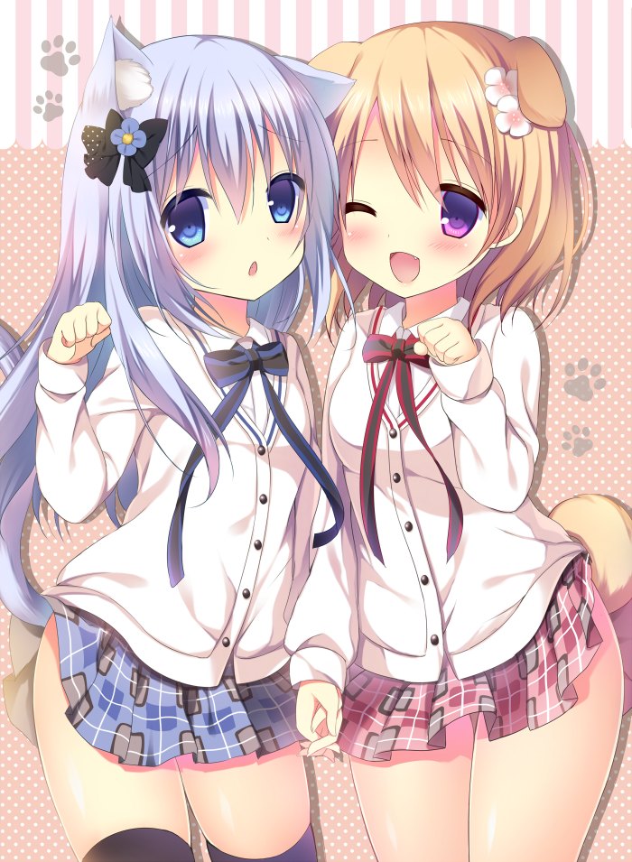neko